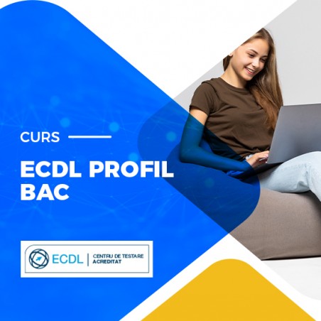 Curs ECDL PROFIL BAC